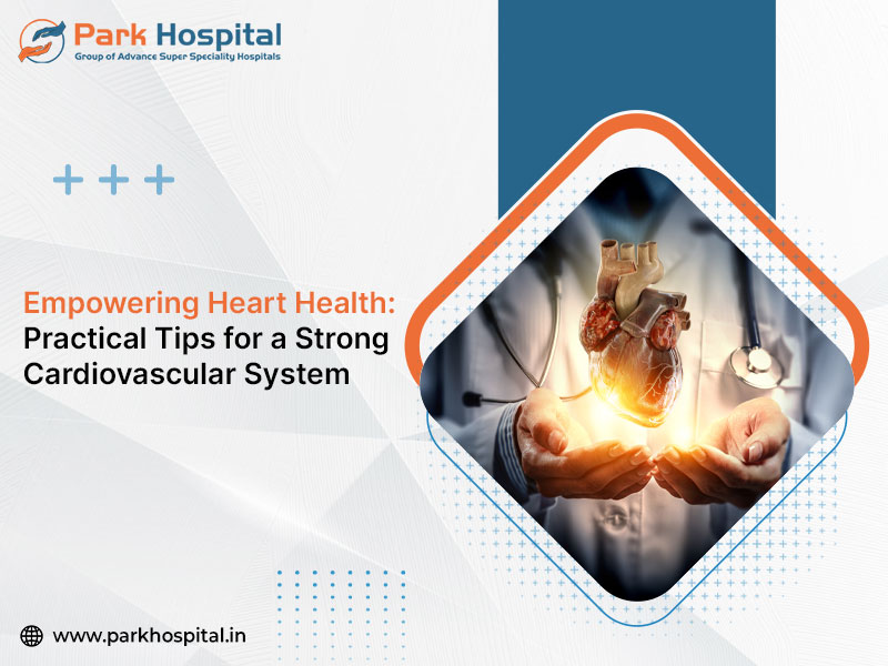 Empowering Heart Health: Practical Tips for a Strong Cardiovascular System